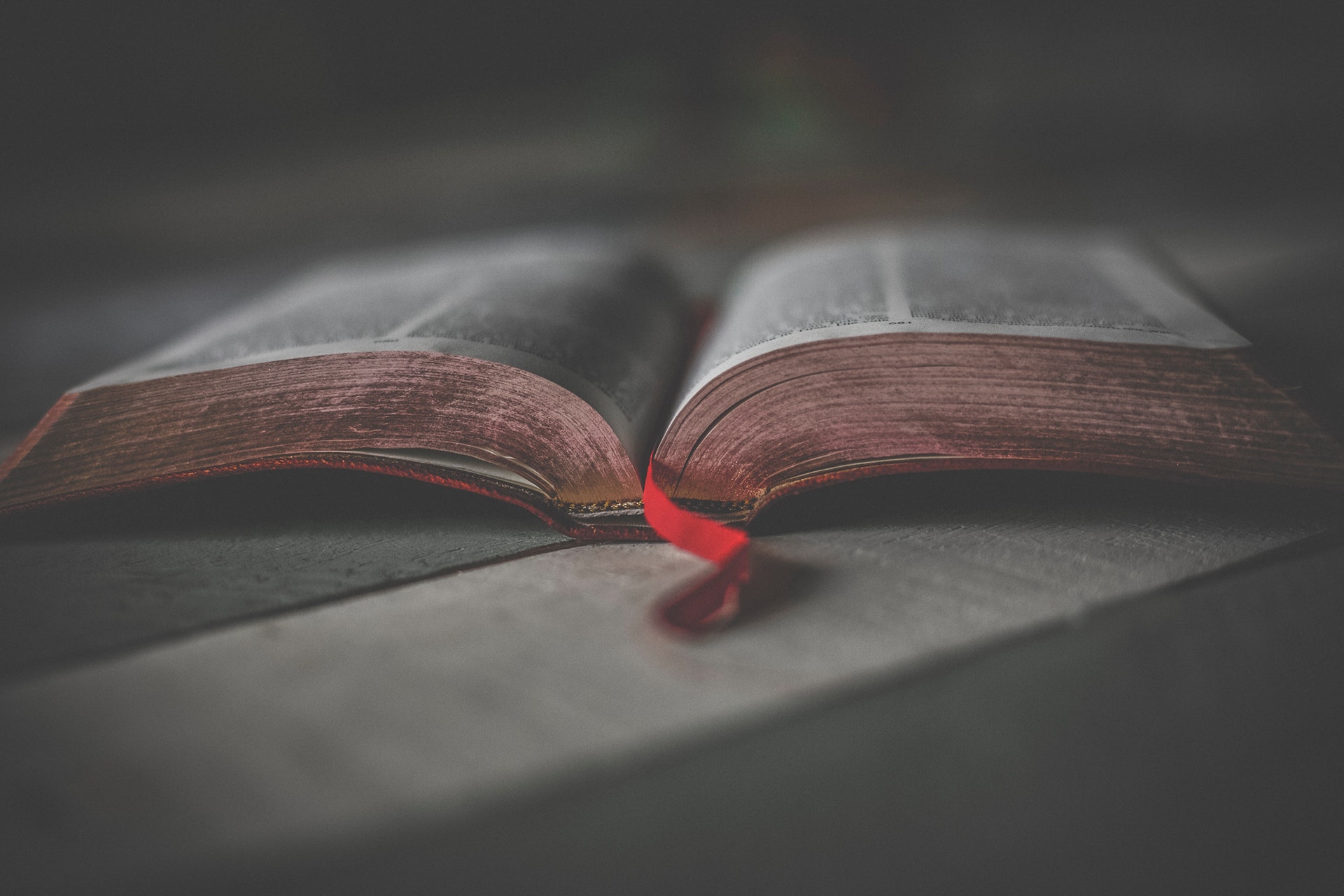 bible-biblia-book-bindings-1112048