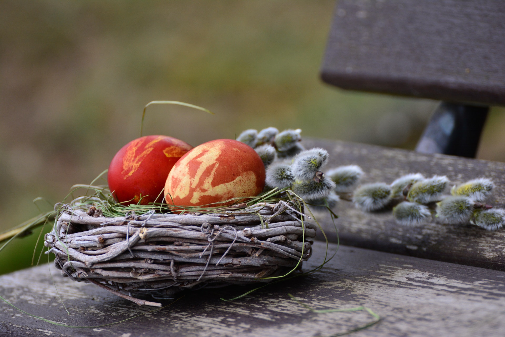 color-decoration-easter-372205
